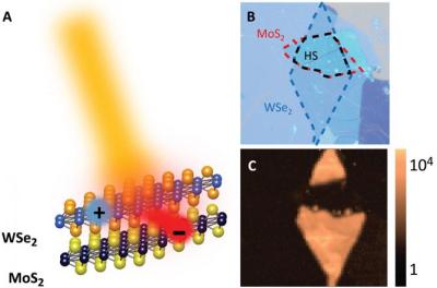Ultrafast charge transfer process in the WSe2/MoS2 heterostructure