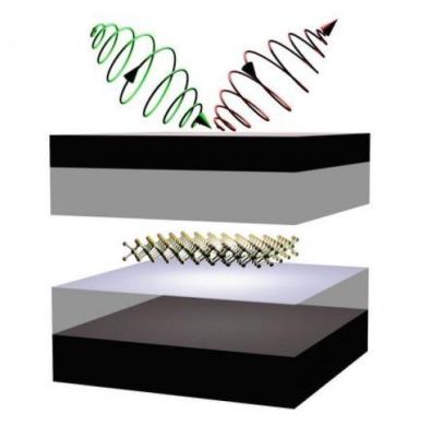 Valley control in 2D semiconductors (CCNY)